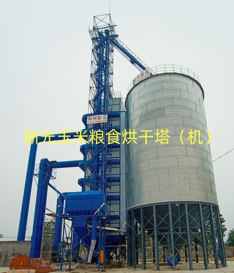 �¹�Zʳ�����