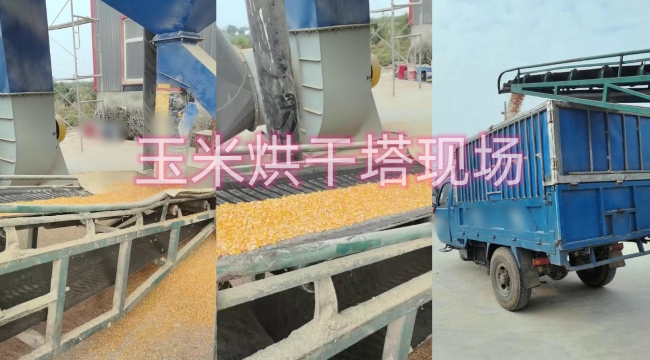 �Zʳ������F��